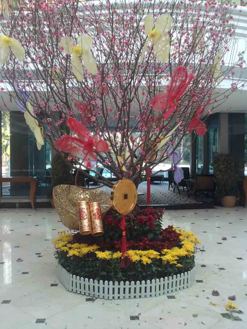 重(zhong)慶植物(wù)租賃公(gōng)司